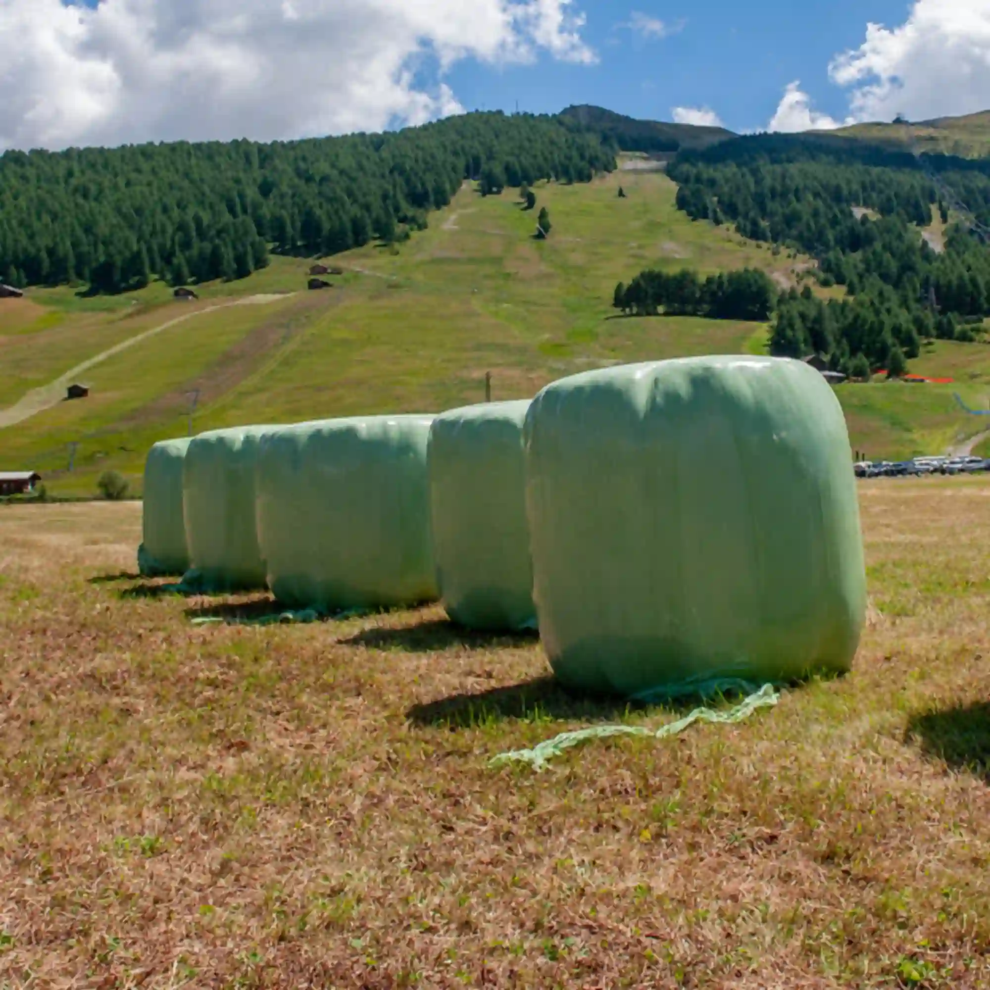 Agrarstretchfolie 750mm grün Agrarstretchfolie 750mm grün