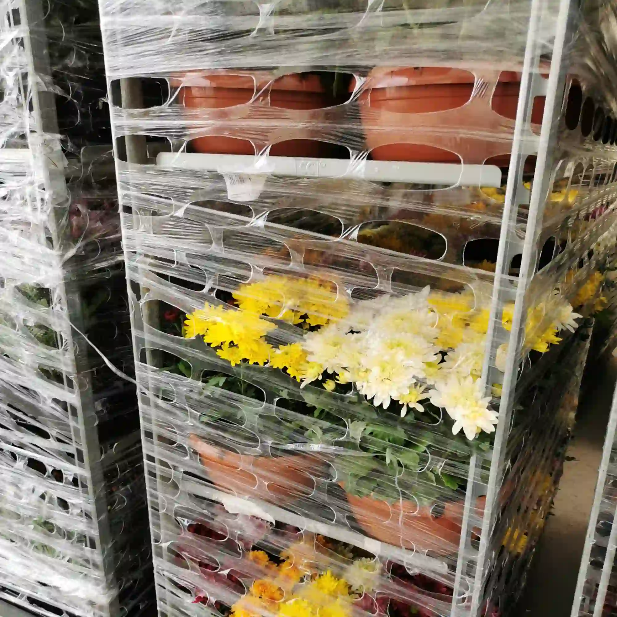 Gelochte Maschinenstretchfolie Gelochte Maschinenstretchfolie