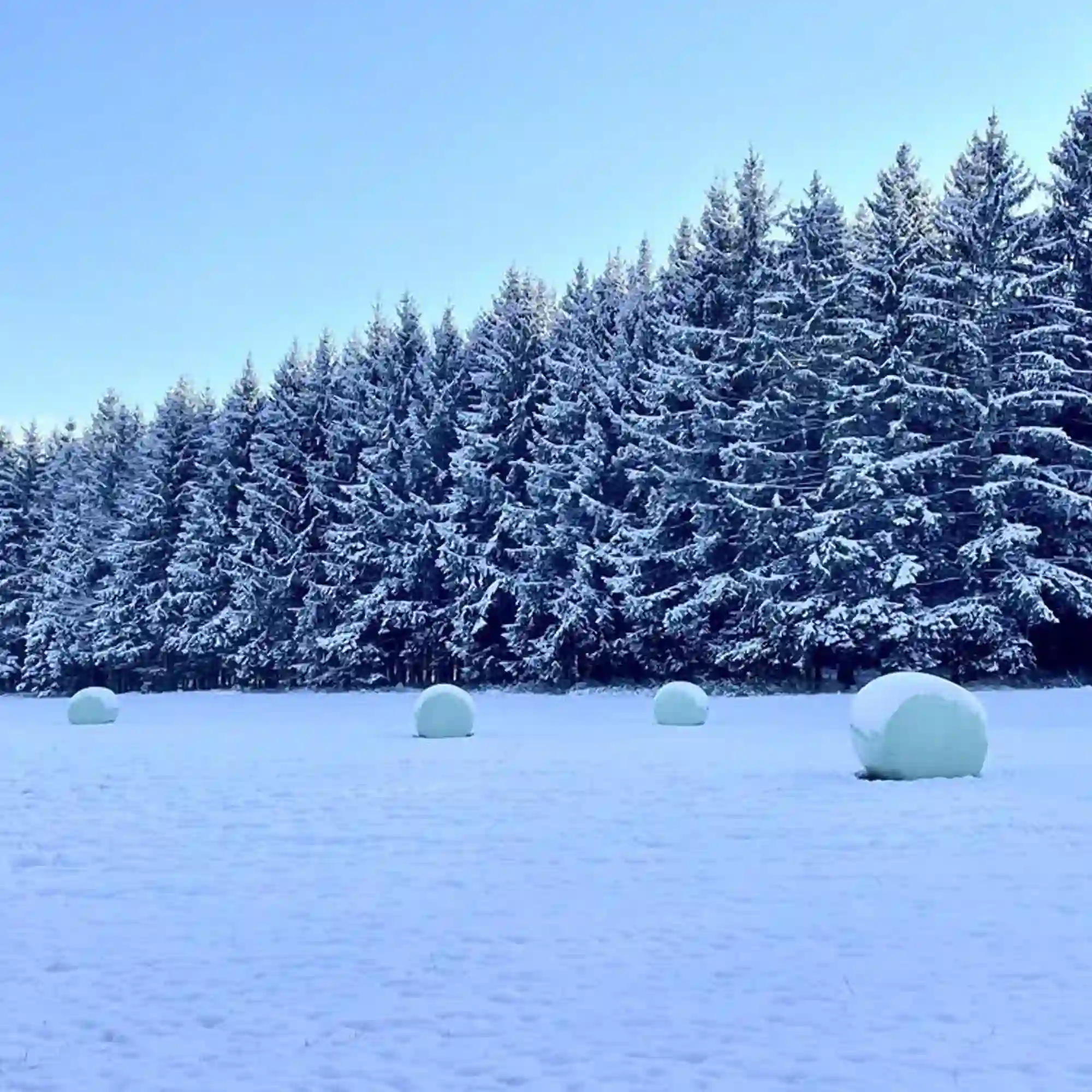 Agrarstretchfolie 750mm grün Agrarstretchfolie 750mm grün