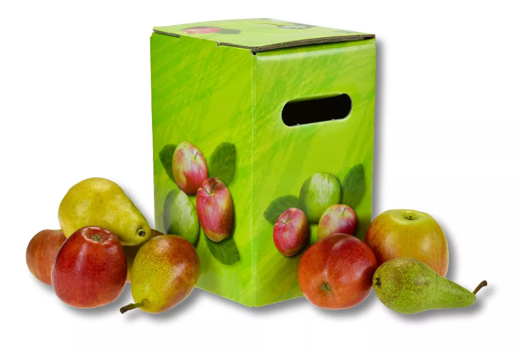 Bag in Box - Karton "Äpfel" 10 Liter Bag in Box - Karton "Äpfel" 10 Liter