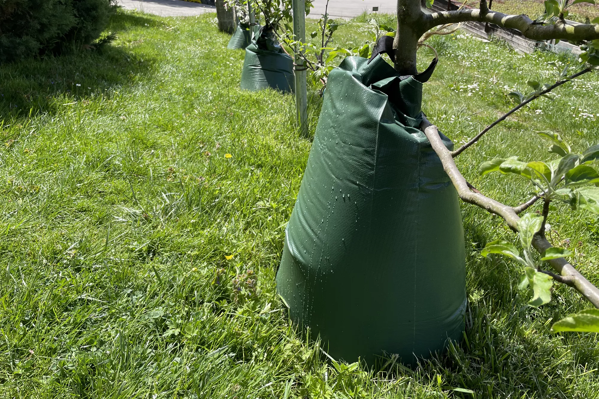 Baumbewässerungssack 100 Liter, mit Schloss Baumbewässerungssack 100 Liter, mit Schloss