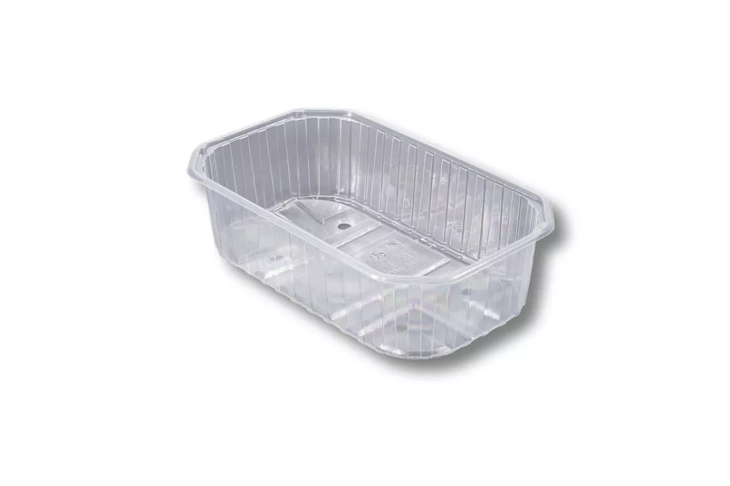 PET-Schalen, 500 g, B22, transparent PET-Schalen, 500 g, B22, transparent