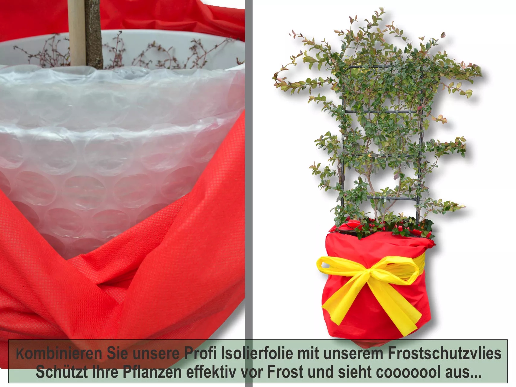 Wintervlies ROSA, 0,8x100 m, 50 g/m²