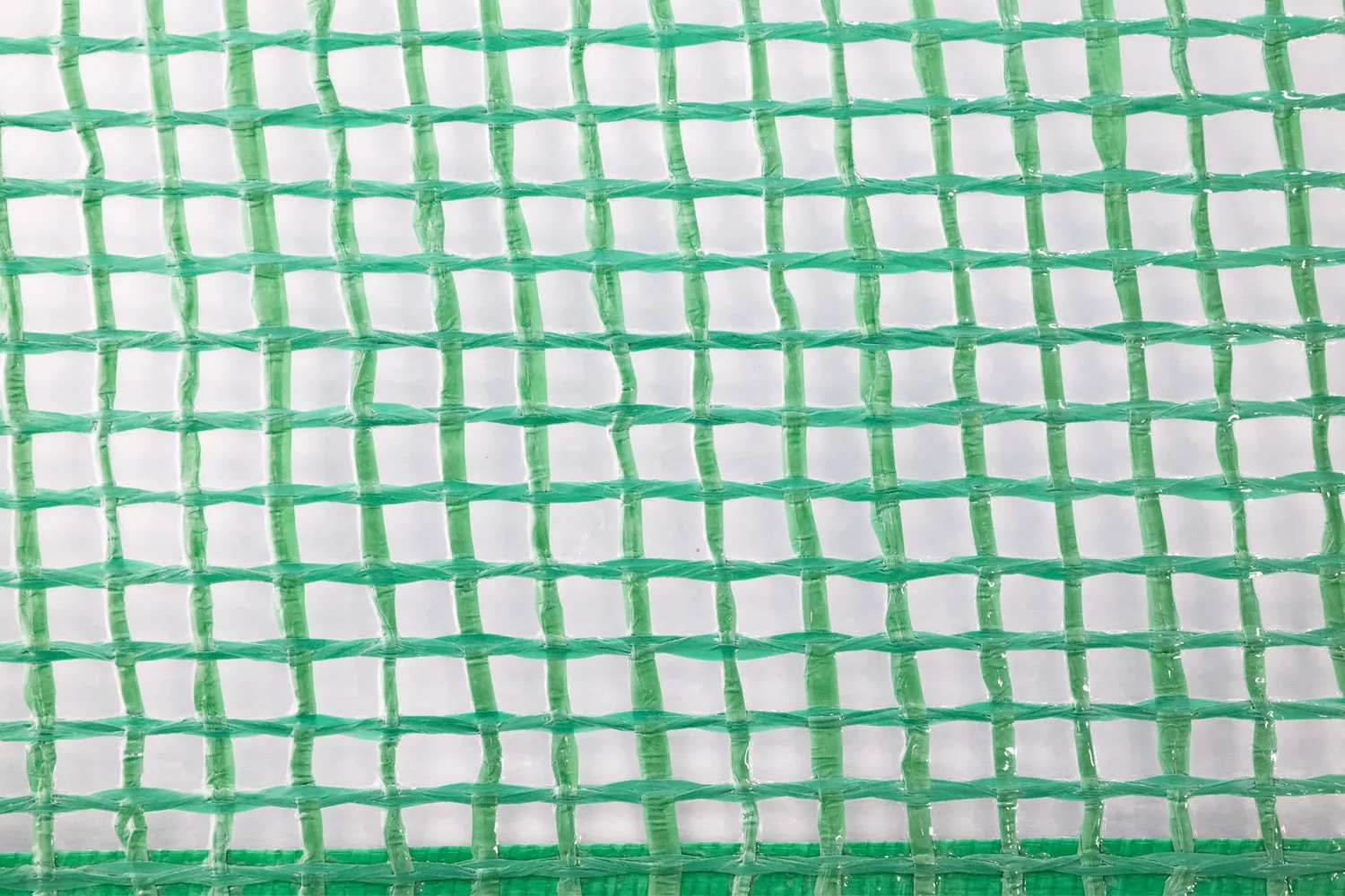 Gitterfolie, 2 x 1 m, 250 g, grün, mit Nagelrand