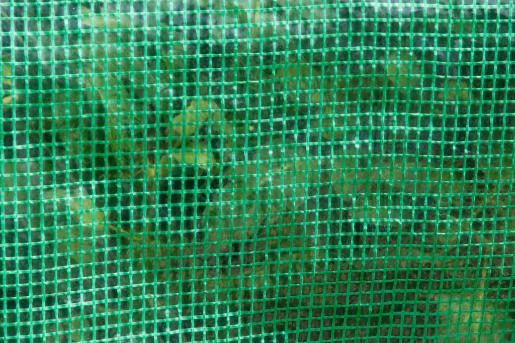 Gitterfolie, 2 x 1 m, 250 g, grün, mit Nagelrand