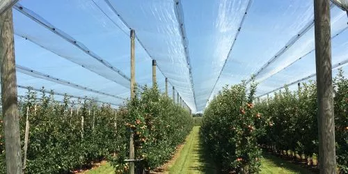 Pflanzen-, Obst- & Ernteschutz Pflanzen-, Obst- & Ernteschutz