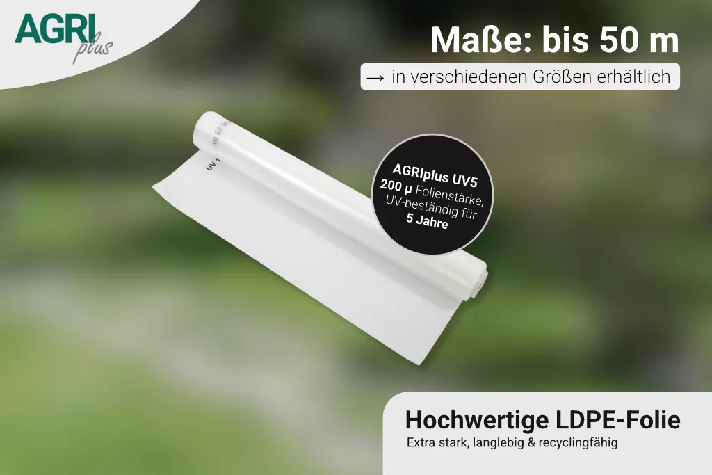 AGRIplus Gewächshausfolie UV5, 10 m breit, 200µ AGRIplus Gewächshausfolie UV5, 10 m breit, 200µ