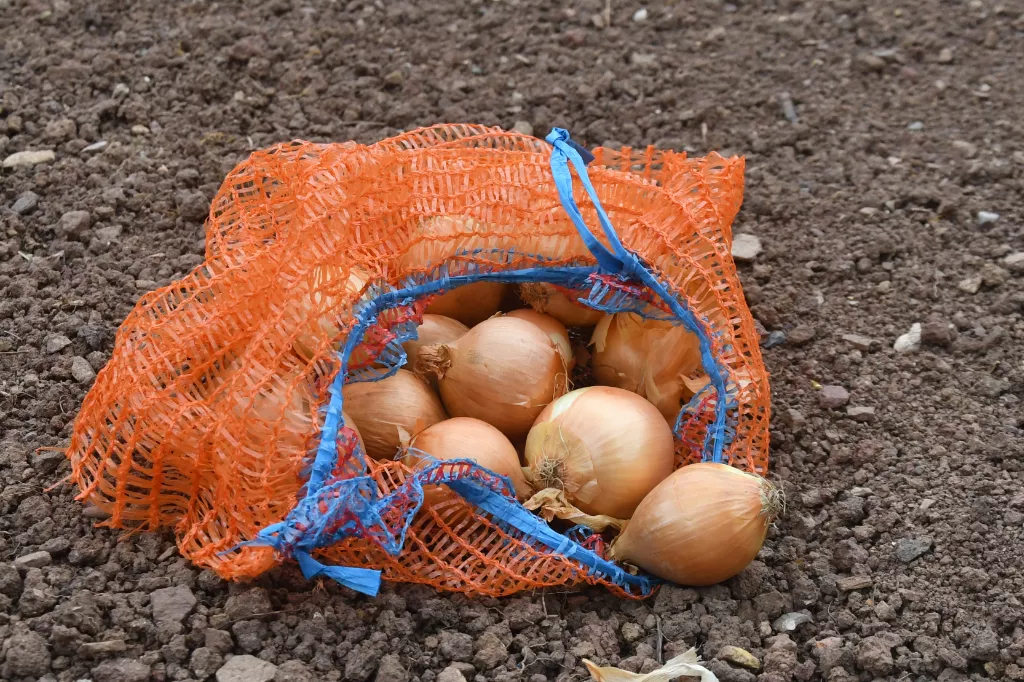 Gemüsesäcke 5 kg mit Zugband, orange, 340 x 470 mm Gemüsesäcke 5 kg mit Zugband, orange, 340 x 470 mm