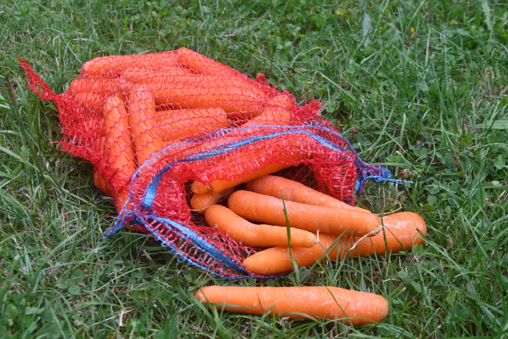 Gemüsesäcke 10 kg mit Zugband, rot, 430 x 630 mm Gemüsesäcke 10 kg mit Zugband, rot, 430 x 630 mm