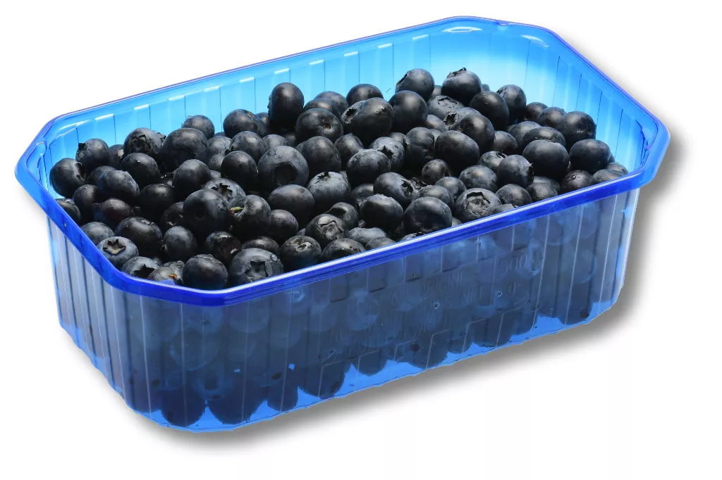 PP-Schalen, 500 g, blau PP-Schalen, 500 g, blau