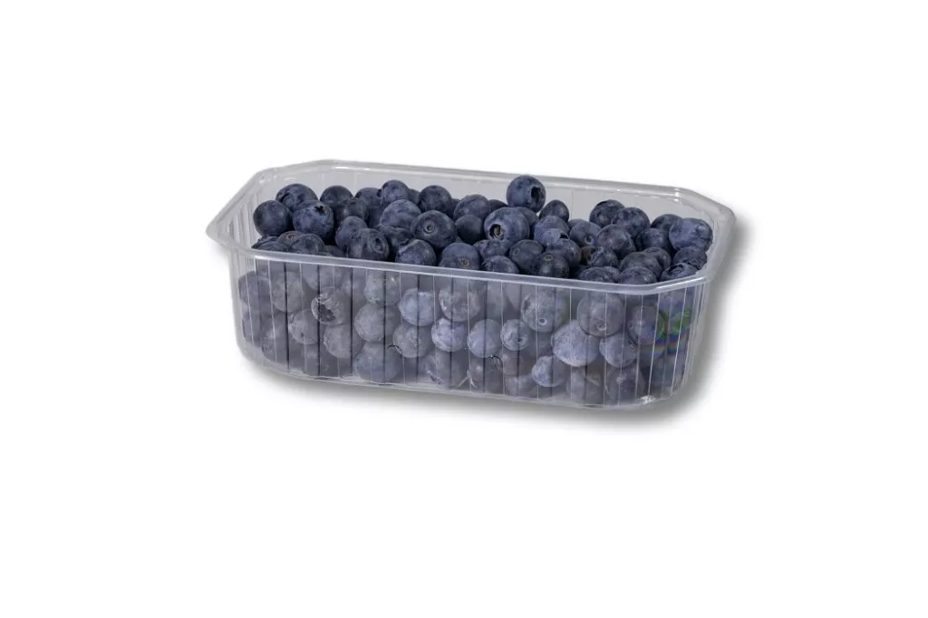 PET-Schalen, 500 g, B22, transparent PET-Schalen, 500 g, B22, transparent