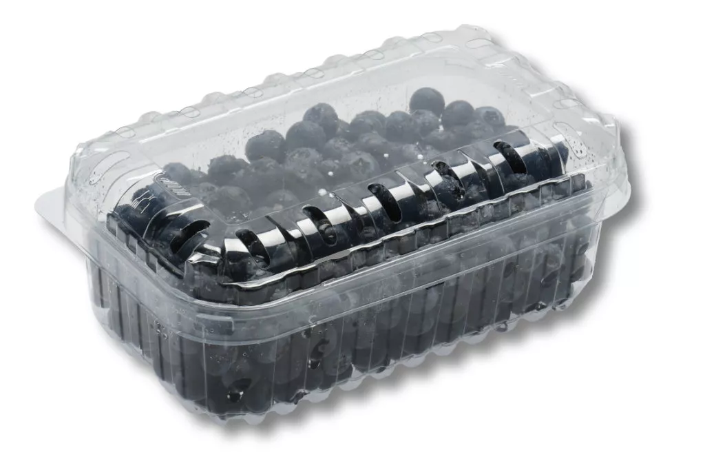 PET-Schalen, 500 g, B22, transparent PET-Schalen, 500 g, B22, transparent
