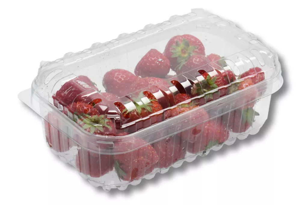 PET-Schalen, 250 g, B23, transparent PET-Schalen, 250 g, B23, transparent