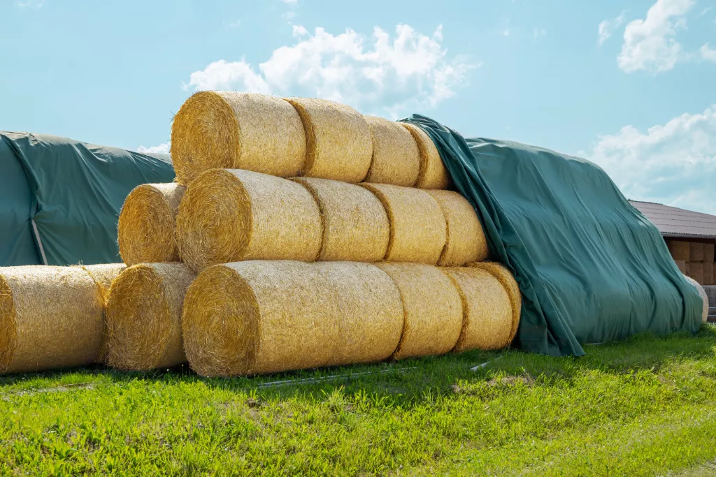 AGRIplus Strohvlies, 15,6 x 25 m, 140 g/m² AGRIplus Strohvlies, 15,6 x 25 m, 140 g/m²